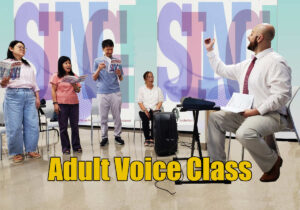 Adult Voice Banner Image